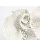 By-Boo Decoratie Agari (Nagemaakt Koraal) - Wit